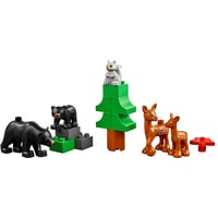 LEGO Education 45029 Животные Image #3
