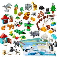 LEGO Education 45029 Животные Image #2
