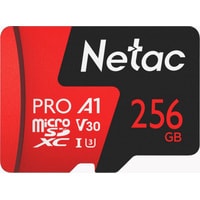 Netac P500 Extreme Pro 256GB NT02P500PRO-256G-S