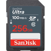 SanDisk Ultra SDXC SDSDUNR-256G-GN3IN 256GB