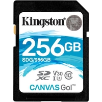 Kingston Canvas Go! SDG/256GB SDXC 256GB