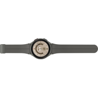 Samsung Galaxy Watch 5 Pro 45 мм (серый титан) Image #6