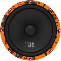 DL Audio Gryphon Pro 200 Midbass Image #2