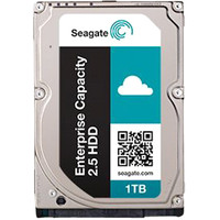 Seagate Enterprise Capacity 1TB [ST1000NX0313]