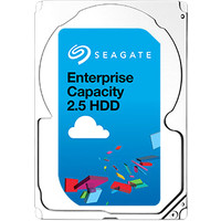 Seagate Enterprise Capacity 2TB (ST2000NX0273)