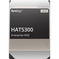 Synology HAT5300 18TB HAT5310-18T