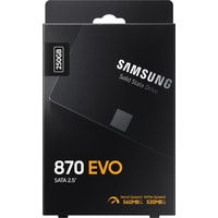 Samsung 870 Evo 500GB MZ-77E500BW Image #10