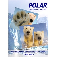 Polar глянцевая A4, 128 г/м2, 5 л [A4K78685] Image #1