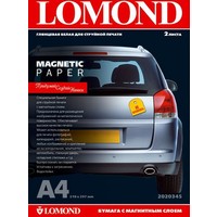 Lomond Magnetic Paper glossy A4, 660 г/м2 2л (2020345) Image #1
