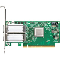 Mellanox MCX556A-ECAT Image #1