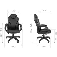 CHAIRMAN 299 (экопремиум, черный/бежевый) Image #5