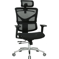 Evolution ERGO Mesh (черный)