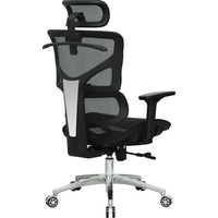 Evolution ERGO Mesh (черный) Image #4
