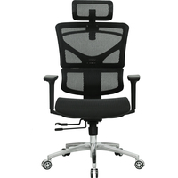 Evolution ERGO Mesh (черный) Image #3