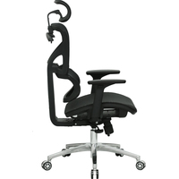 Evolution ERGO Mesh (черный) Image #2