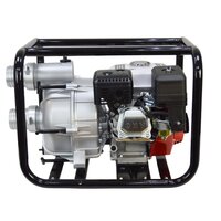 Brait BR-WP-30D PRO Image #4