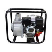 Brait BR-WP-30 PRO Image #4
