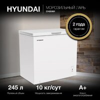 Hyundai CH25081 Image #3