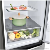 LG DoorCooling+ GA-B509MMZL Image #7