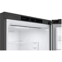 LG DoorCooling+ GA-B509MMZL Image #8