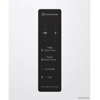 LG DoorCooling+ GA-B509LQYL Image #14
