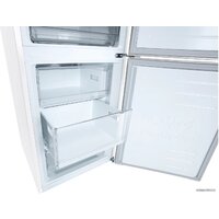 LG DoorCooling+ GA-B509LQYL Image #13