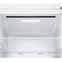 LG DoorCooling+ GA-B509LQYL Image #10
