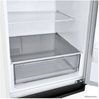 LG DoorCooling+ GA-B509LQYL Image #11