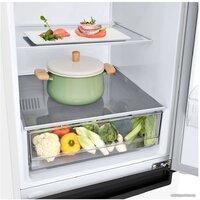 LG DoorCooling+ GA-B509LQYL Image #12