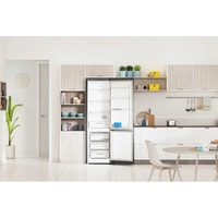 Indesit ITS 5200 X Image #11