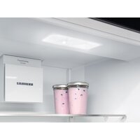 Liebherr ICNSd 5603 Pure NoFrost Image #5