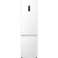 LG Door Cooling+ GBV5250DSW