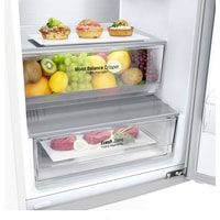 LG DoorCooling+ GA-B509CVQM Image #10