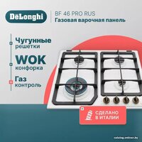 DeLonghi BF 46 PRO RUS Image #2