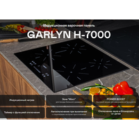 Garlyn H-7000 Image #2
