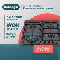 DeLonghi ANF 46 PRO RUS Image #2