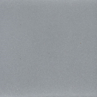 Wisent 600-29W (с сифоном GER013) Image #5