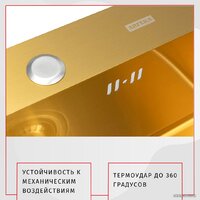 ARFEKA AF 600*450 Golden PVD Nano Image #3
