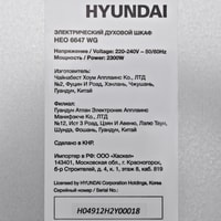 Hyundai HEO 6647 WG Image #12