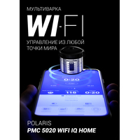 Polaris PMC 5020 Wi-Fi IQ Home (серебристый) Image #3