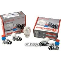 Giacomini Комплект термостатический R470FX002 Image #1