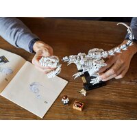 Конструктор LEGO Ideas 21320 Кости динозавра - Изображение №23 — Chaika Market