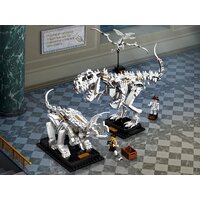 Конструктор LEGO Ideas 21320 Кости динозавра - Изображение №28 — Chaika Market