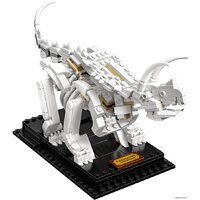 Конструктор LEGO Ideas 21320 Кости динозавра - Изображение №4 — Chaika Market