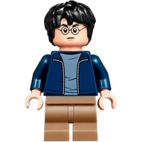 LEGO Harry Potter 75947 Хижина Хагрида: спасение Клювокрыла Image #14