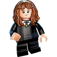 LEGO Harry Potter 76390 Адвент календарь Harry Potter Image #14