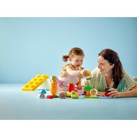 Конструктор LEGO Duplo 10984 Органический сад - Изображение №10 — Chaika Market