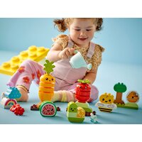 Конструктор LEGO Duplo 10984 Органический сад - Изображение №11 — Chaika Market