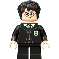 LEGO Harry Potter 76386 Хогвартс: ошибка с оборотным зельем Image #8