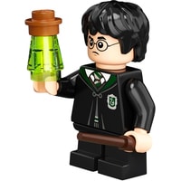 LEGO Harry Potter 76386 Хогвартс: ошибка с оборотным зельем Image #7